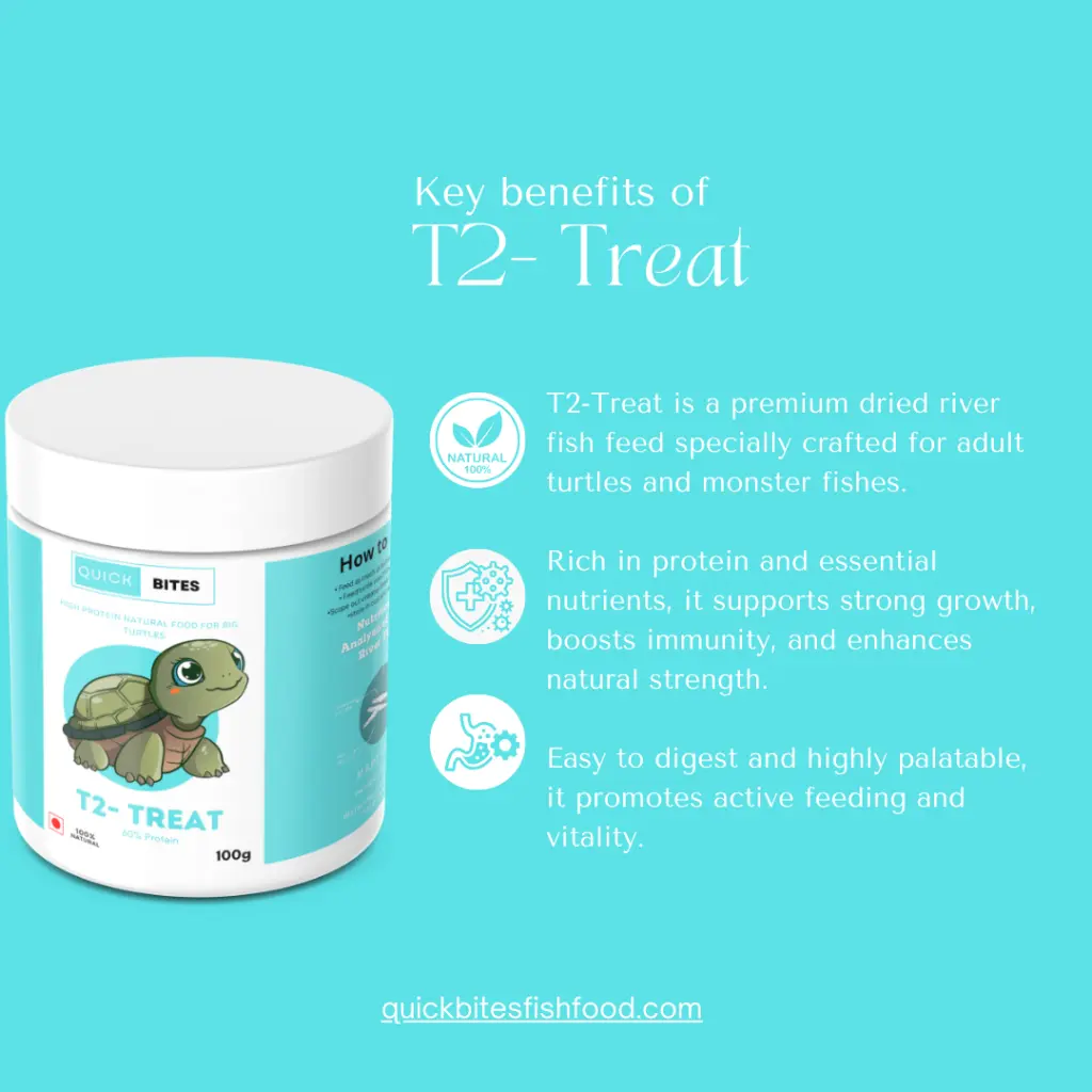 T2 Treat-3.webp