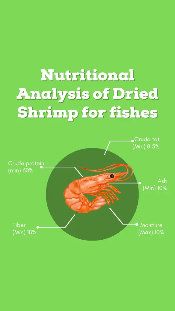 E-Shrimp-2.webp